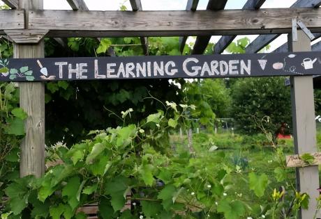 Spring Learning Programs